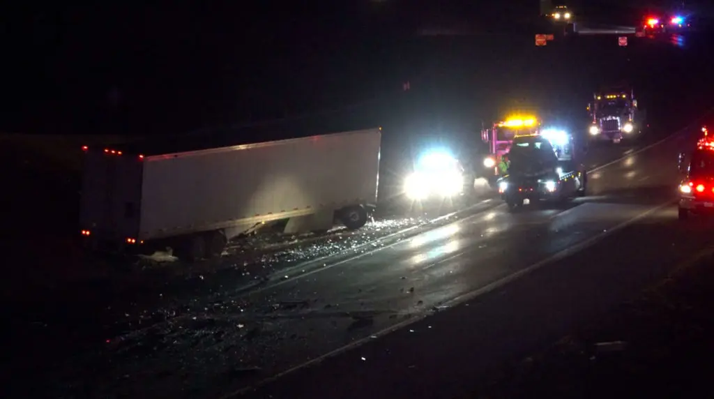 Driver Causes Wrecks after Being Distracted by Her Cat